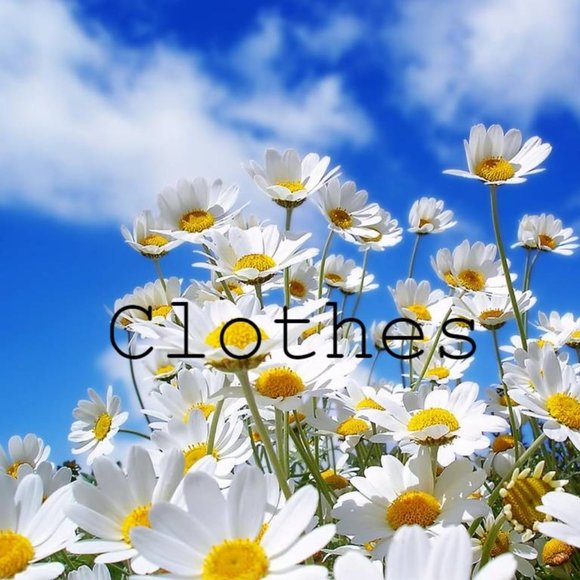 Clothes - Picture 1 of 1